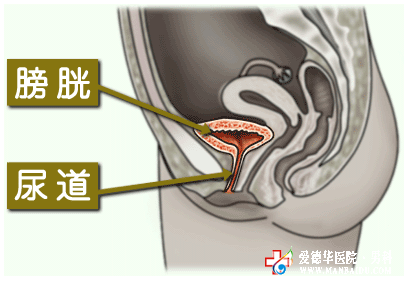 男性得了尿道炎会有哪些危害?