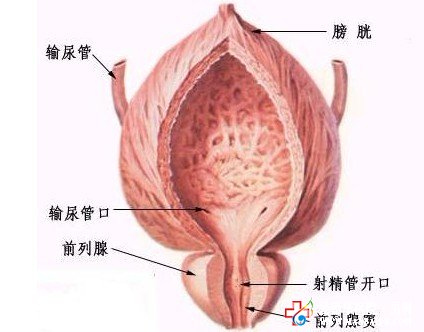 石狮前列腺炎的治疗方法有哪些？