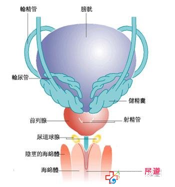 有什么好办法可以治愈尿道炎-九江男科医院